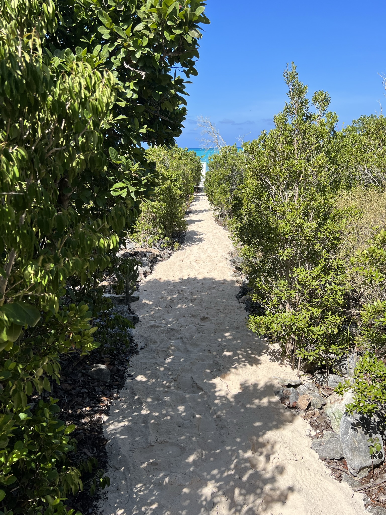 Cabbage Point Lot 3