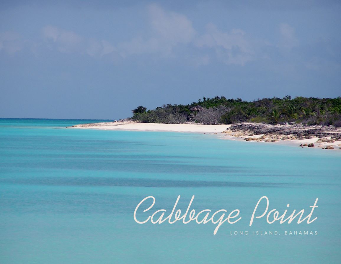 Cabbage Point Lot 4