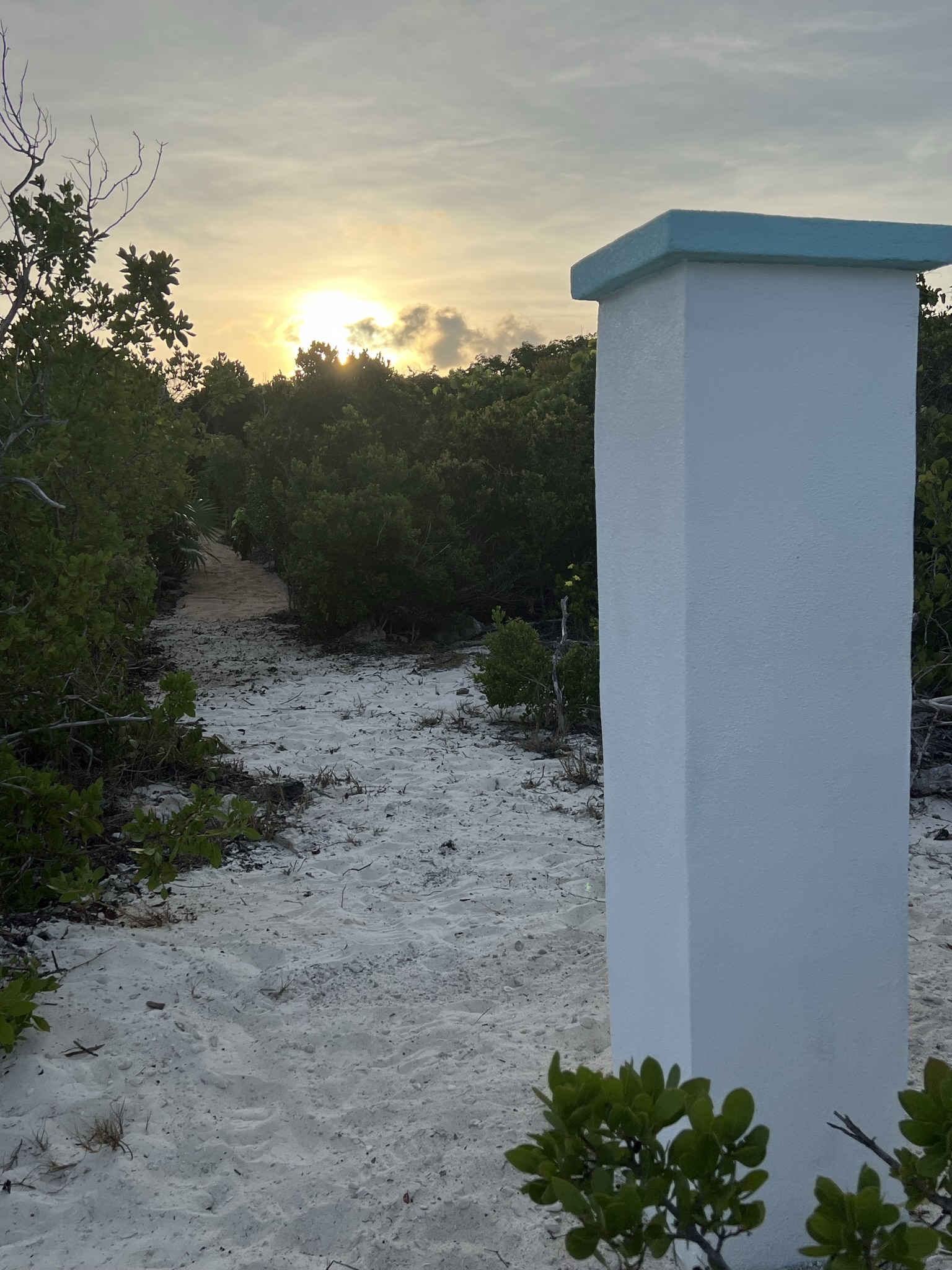Cabbage Point Lot 4