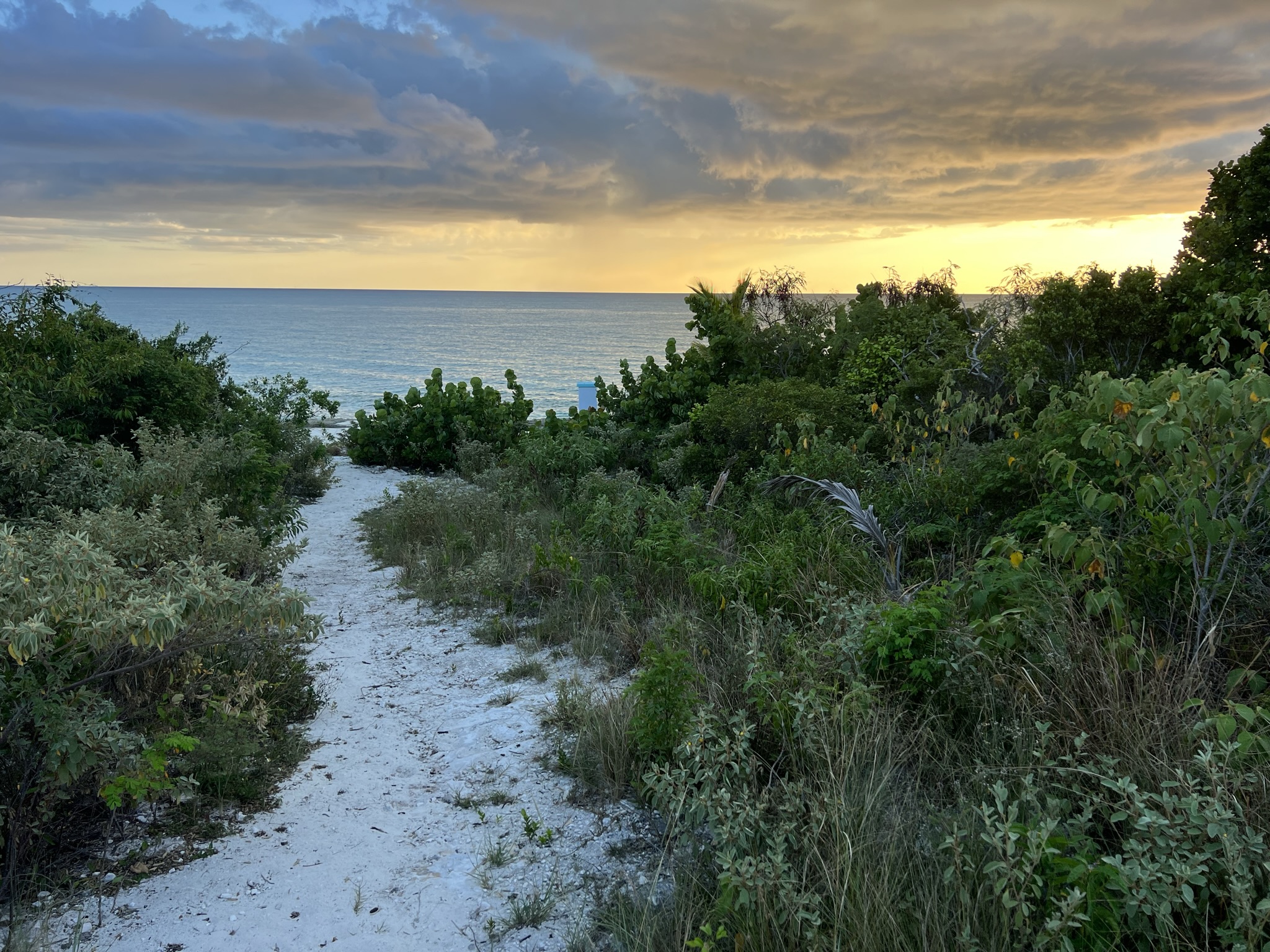 Cabbage Point Lot 4