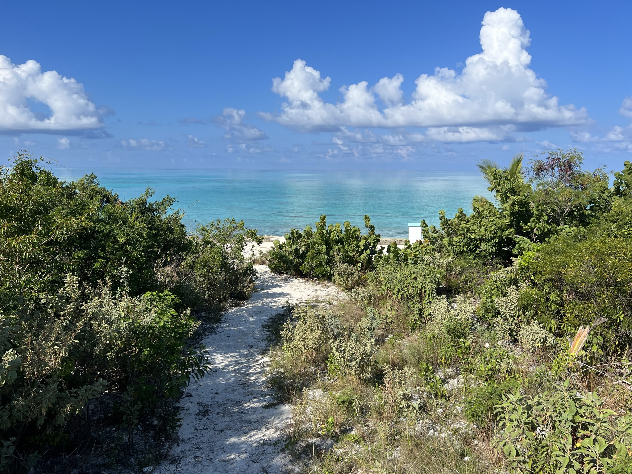Beach Access Easements