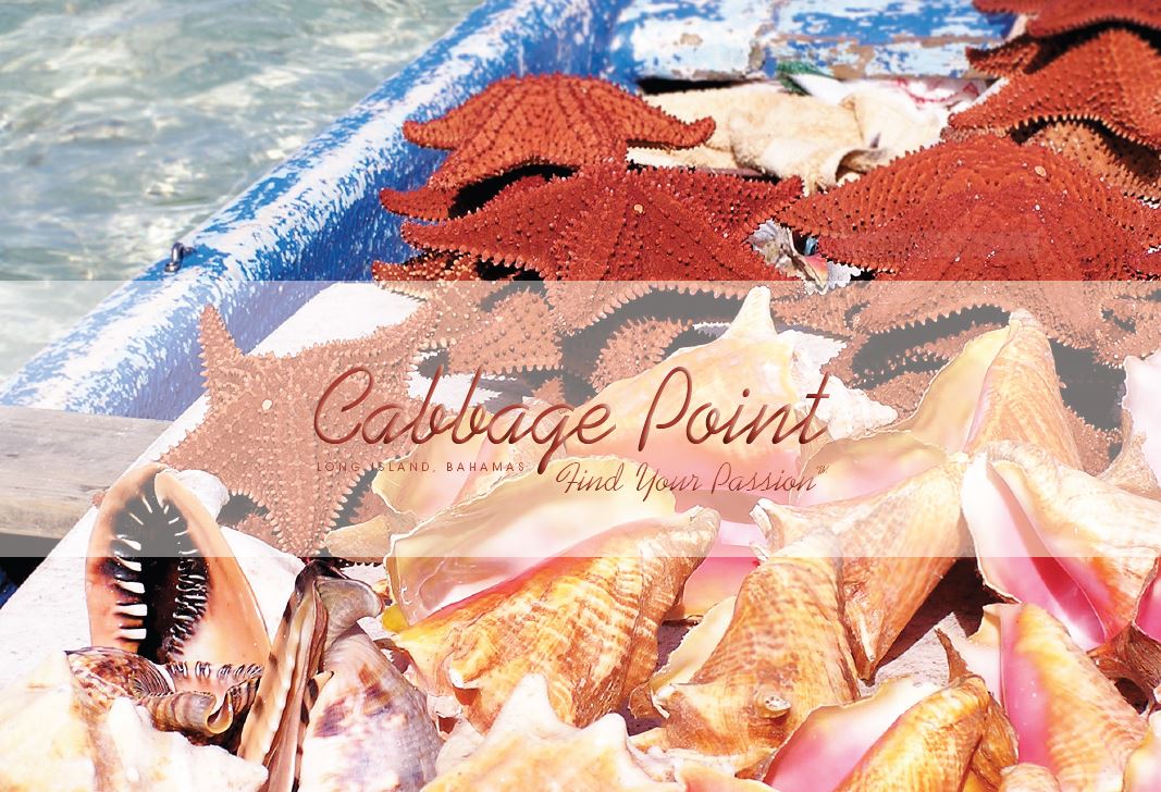 Cabbage Point, Long Island Bahamas